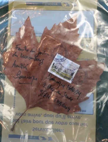 feuille d'automne